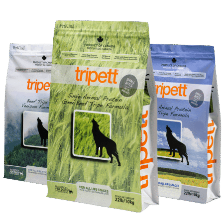 Healthy Dog Food