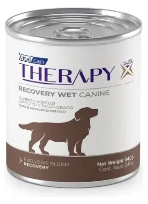 THERAPY RECOVERY PERRO 340 GR