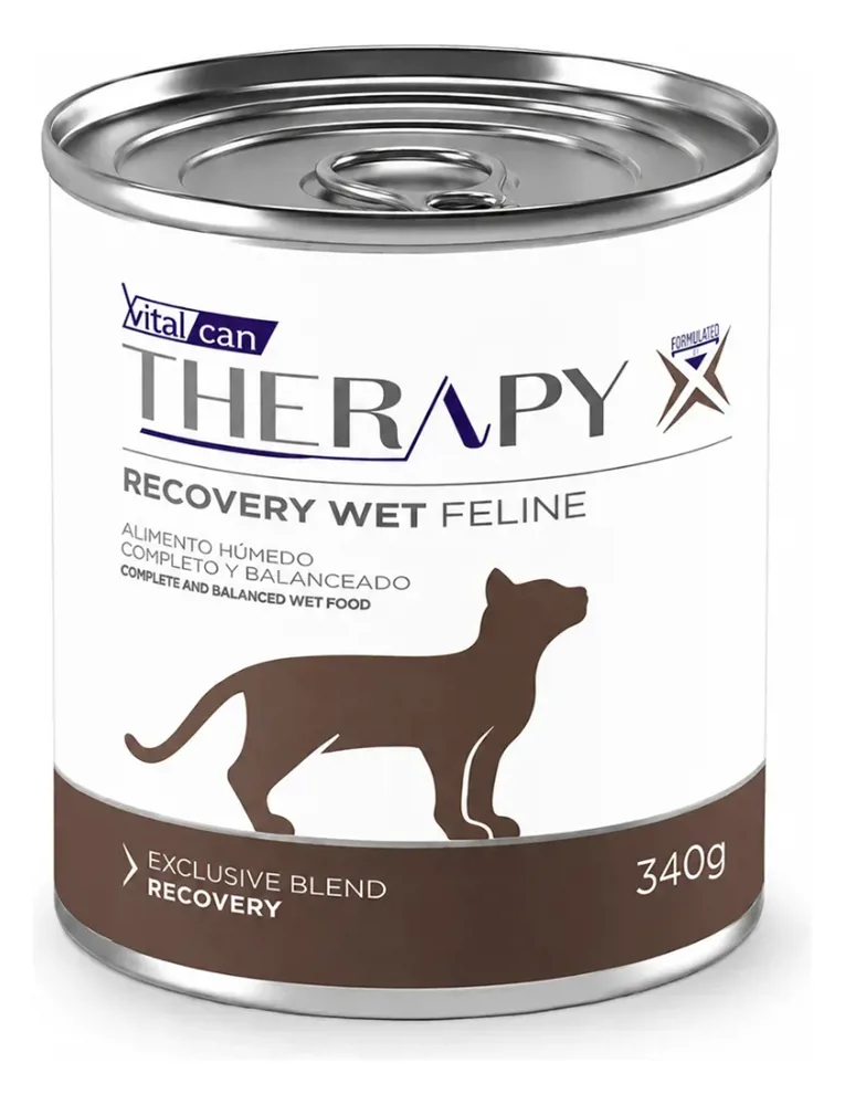 THERAPY RECOVERY GATO 340 GR