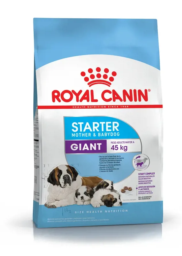 ROYAL CANIN STARTE GIANT 10KG