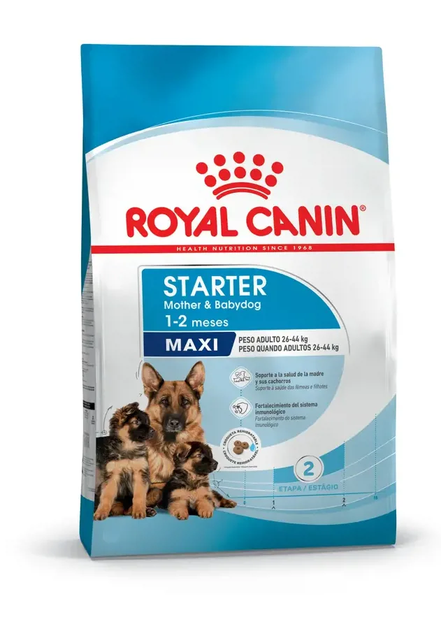 ROYAL CANIN STARTER MAXI 10KG